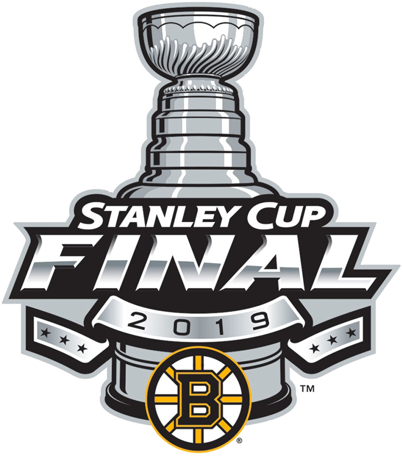Boston Bruins 2019 Event Logo DIY iron on transfer (heat transfer)
